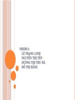 thuyết trình chiến lược công ty TH True Milk