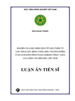 Nghiên cứu đặc điểm dịch tễ học phân tử của virus gây bệnh thiếu máu truyền nhiễm ở gà (chicken infectious anemia virus- CIAV) lưu hành tại miền Bắc Việt Nam