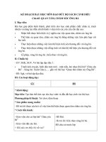 Kế hoạch dạy học môn đạo đức bộ sách cánh diều.