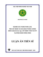 Nghiên cứu thành phần loài, tính gây bệnh và khả năng phòng chống nấm Colletotrichum spp. gây bệnh thán thư ớt tại đồng bằng sông Hồng