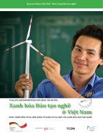 Xanh hóa Đào tạo nghề ở Việt Nam - Phát triển bền vững, nền kinh tế xanh và vai trò của xanh hóa đào tạo nghề