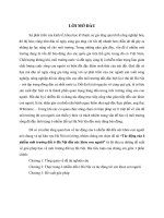 tiểu luận kinh tế môi trường tác động của ô nhiễm môi trường đất ở hà nội đến sức khỏe con người 