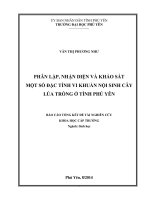 PHÂN LẬP, NHẬN DIỆN VÀ KHẢO SÁT MỘT SỐ ĐẶC TÍNH VI KHUẨN NỘI SINH CÂY LÚA TRỒNG Ở TỈNH PHÚ YÊN BÁO CÁO TỔNG KẾT ĐỀ TÀI NGHIÊN CỨU KHOA HỌC CẤP TRƯỜNG Ngành: Sinh học