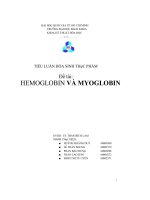 TIỂU LUẬN HÓA SINH THỰC PHẨM .Đề tài:HEMOGLOBIN VÀ MYOGLOBIN