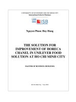 The solution for improvement of horeca chanel in unilever food solution at ho chi minh city 