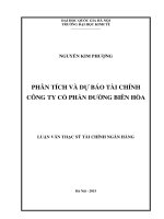 PHÂN TÍCH VÀ DỰ BÁO TÀI CHÍNH CÔNG TY CỔ PHẦN ĐƢỜNG BIÊN HÒA. LUẬN VĂN THẠC SỸ TÀI CHÍNH NGÂN HÀNG