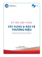 BẢO VỆ THƯƠNG HIỆU DƯỚI GÓC NHÌN MARKETING. TS. NGÔ THỊ THU