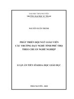 Phát triển đội ngũ giáo viên các trường dạy nghề tỉnh phú thọ theo chuẩn nghề nghiệp 