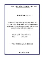 Nghiên cứu đặc điểm dịch tễ học phân tử của virus gây bệnh thiếu máu truyền nhiễm ở gà (chicken infectious anemia virus  CIAV) lưu hành tại miền bắc việt nam (tt) 