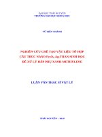 Nghiên cứu chế tạo vật liệu tổ hợp cấu trúc nano fe3o4 ag than sinh học để xử lý hấp phụ xanh methylene 