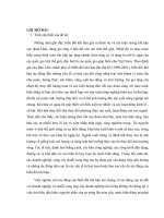 tiểu luận kinh tế môi trường phân tích mô hình liên kết doanh nghiệp tư nhân trong bối cảnh biến đổi khí hậu 