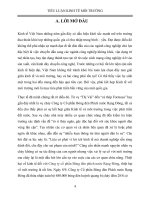 tiểu luận kinh tế môi trường phân tích vụ cháy công ty cổ phần bóng đèn phích nƣớc rạng đông và giải pháp khắc phục 