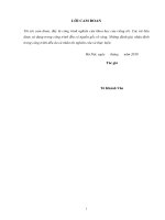 Luận văn Thạc sĩ Quản lý kinh tế: Một số giải pháp giảm nghèo trên địa bàn huyện Hữu Lũng, tỉnh Lạng Sơn