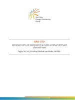 BÁO CÁO HỘI NGHỊ CẤP CAO NHÓM ĐỐI TÁC NĂNG LƯỢNG VIỆT NAM LẦN THỨ HAI