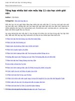 tong hop nhieu bai van mau lop 11 cua hoc sinh gioi van