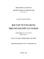 BÀI TẬP VỀ ỨNG DỤNG MỘT SỐ NGUYÊN LÝ CƠ BẢN  LUẬN VĂN THẠC SĨ TOÁN HỌC