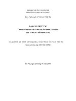 BÁO CÁO THỰC TẬPChương trình thực tập 1 năm tại tỉnh Fukui, Nhật Bản