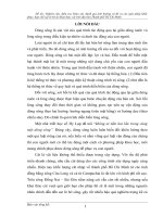 Nghiên cứu điều tra khảo sát đánh giá ảnh hưởng và đề ra các giải pháp khắc phục, hạn chế sạt lở bờ do khai thác cát trên địa bàn TP HCM 