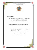 Đề tài tiểu luận: “PHÂN TÍCH TÀI CHÍNH CỦA CÔNG TY CỔ PHẦN BÊ TÔNG BECAMEX”