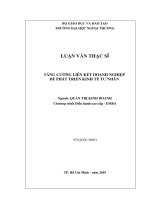 Tăng cường Liên kết doanh nghiệp để phát triền kinh tế tư nhân (Luận văn thạc sĩ)