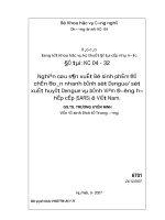 Báo cáo tổng kết khoa học và kỹ thuật đề tài cấp nhà nước  nghiên cứu sản xuất bộ sinh phẩm để chẩn đoán nhanh bệnh sốt dengue sốt xuất huyết dengue và bệnh viêm đ 