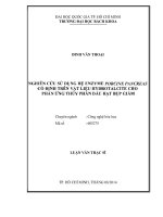 Nghiên cứu sử dụng hệ Enzyme Porcine Pancreas cố định trên vật liệu Hydrotalcite cho phản ứng thủy phân dầu hạt bụp giấm