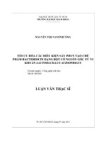 Tối ưu hóa các điều kiện sấy phun tạo chế phẩm Bacteriocin dạng bột có nguồn gốc từ vi khuẩn Lactobacillus Acidophilus
