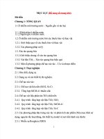 NGHIÊN CỨU TỔNG HỢP VẬT LIỆU XÚC TÁC QUANG HÓA DỰA TRÊN CƠ SỞ TIO2 ỨNG DỤNG CHO MỘT SỐ HỢP CHẤT HỮU CƠ ĐỘC HẠI TRONG NƯỚC