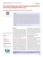 Môi trường lắng đọng tập E trầm tích Oligoxen và dự báo phân bố thân cát khu vực Đông Nam bể Cửu Long