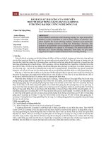 Đánh giá sự hài lòng của sinh viên đối với hoạt động giảng dạy E-learning ở trường Đại học Công nghệ Đồng Nai