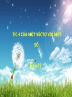 Dạy học định nghĩa tích của một véctơ với một số