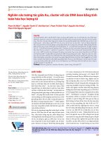 Nghiên cứu tương tác giữa Au6 cluster với các DNA base bằng tính toán hóa học lượng tử