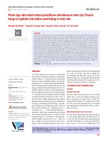 Phân lập nấm bệnh Neoscytalidium dimidiatum trên cây Thanh long và nghiên cứu kiểm soát bằng vi sinh vật