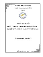 HOÀN THIỆN HỆ THỐNG KIỂM TOÁN NỘI BỘ TẠI CÔNG TY CỔ PHẦN CẤP NƯỚC ĐỒNG NAI  LUẬN VĂN THẠC SỸ KẾ TOÁN