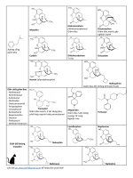 ÔN TẬP HOÁ DƯỢC 2  TỔNG HỢP DẪN CHẤT MORPHIN