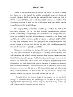 tiểu luận phân tích chi phí lợi ích các nhân tố ảnh hưởng đến xuất khẩu gạo của việt nam 