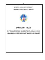 LV Thạc sỹ_Empirical research on irrational behaviors of individual investors in vietnam stock market 