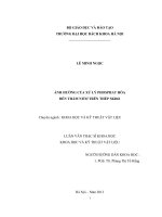 Luận văn thạc sĩ khoa học: Ảnh hưởng của xử lý phosphat hóa đến thấm nitơ trên thép SKD61