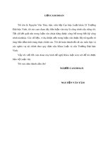 Luận văn Thạc sĩ Luật học: Áp dụng pháp luật trong kiểm sát điều tra các vụ án tàng trữ, vận chuyển hàng cấm, từ thực tiễn Viện Kiểm sát nhân dân cấp huyện, tỉnh Long An