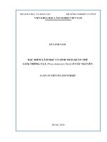 luận án tiến sĩ đặc điểm lâm học và sinh thái quần thể loài thông 5 lá (pinus dalatensis ferré) ở tây nguyên