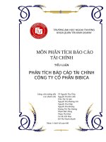 Phân tích báo cáo tài chính công ty cổ phần bibica 