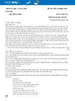 Đề thi tốt nghiệp THPT Quốc gia môn Ngữ văn năm 2020 (Có đáp án)