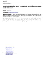 website van mau la gi tai sao hoc sinh can tham khao web van mau 