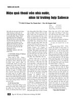 Hiệu quả thoái vốn nhà nước, nhìn từ trường hợp Sabeco