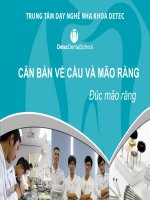 Kỹ thuât trồng răng 6  ky thuat duc mao cau rang 