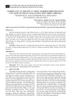 Nghiên cứu lý thuyết và thực nghiệm thiết bị chưng cất nước sử dụng năng lượng mặt trời Carocell