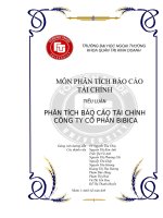 Phân tích báo cáo tài chính công ty cổ phần bibica 