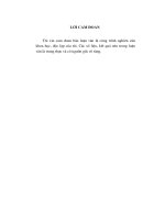 LV Thạc sỹ_giải pháp hoàn thiện cơ chế bảo hiểm tiền gửi ở việt nam 