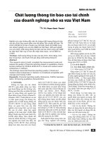 Chất lượng thông tin báo cáo tài chính của doanh nghiệp nhỏ và vừa Việt Nam