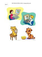 Bộ tranh sách Tiếng Anh 6  chương trình thí điểm (unit 2)